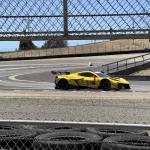 IMG_0608(1) (May 11, 2025)